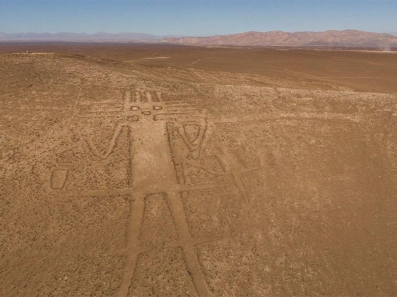 阿塔卡马巨人 Gigante de Atacama
